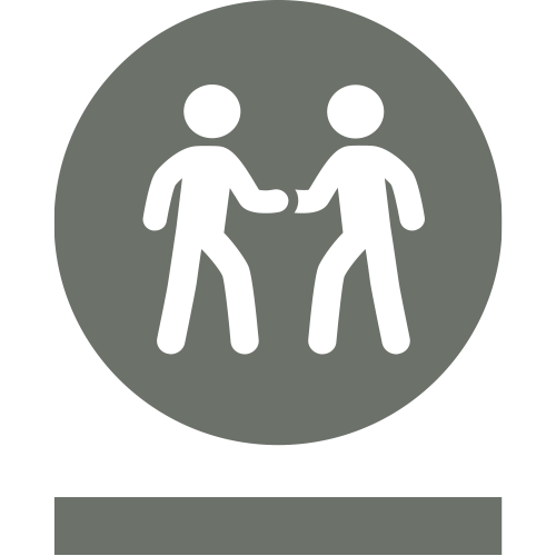 section icon